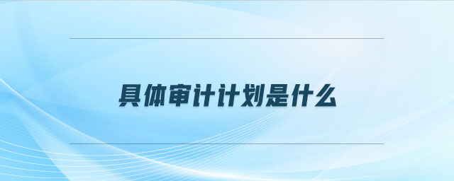 具體審計(jì)計(jì)劃是什么