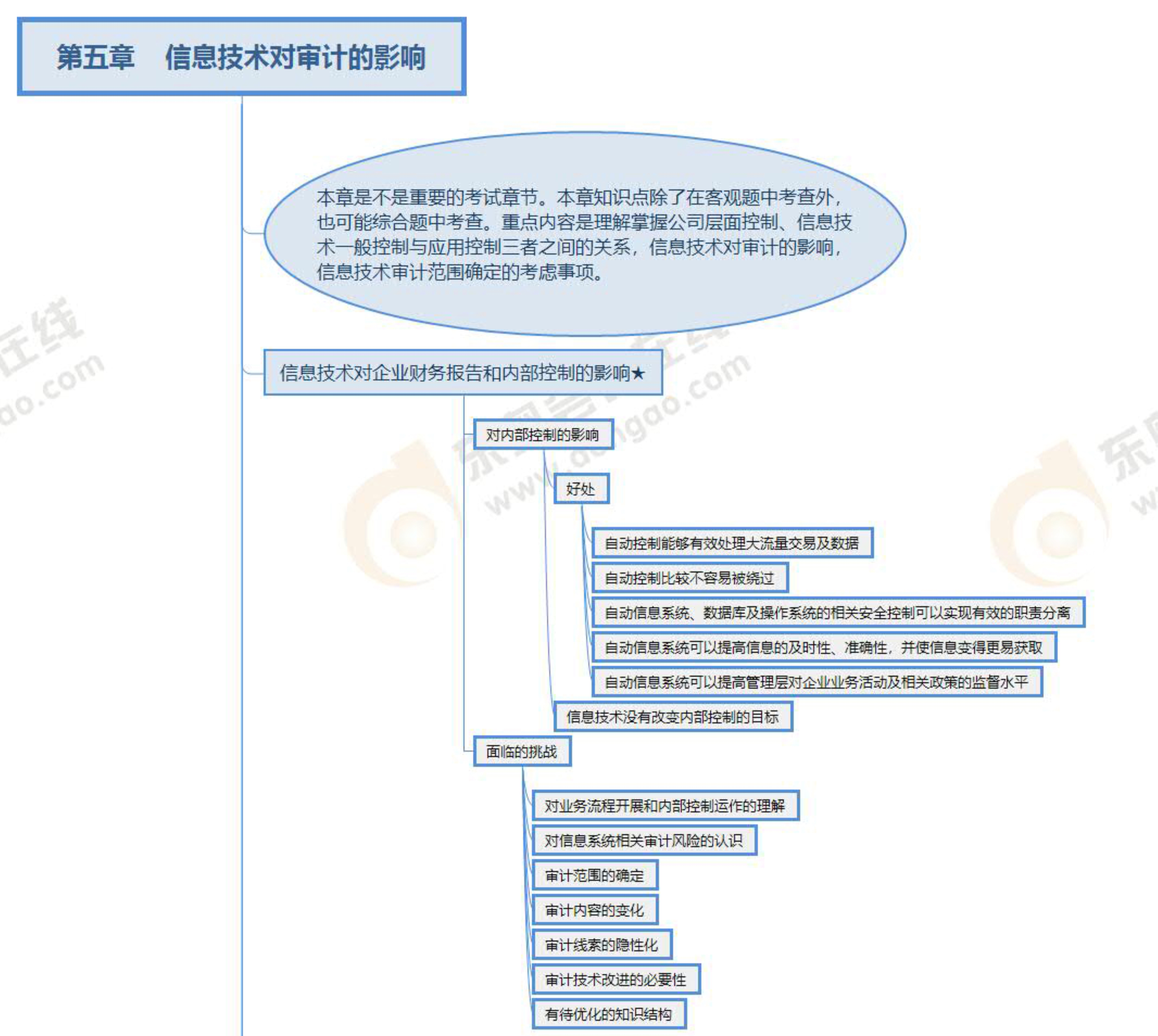 第五章 信息技術對審計的影響