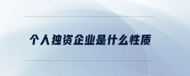 個人獨資企業是什么性質
