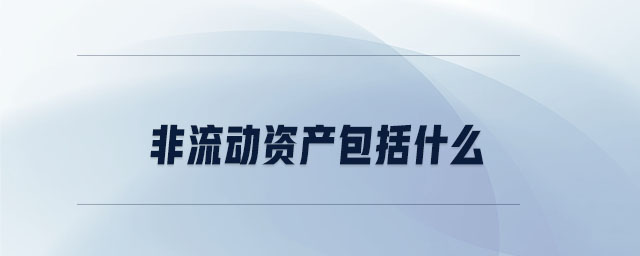 非流動資產包括什么