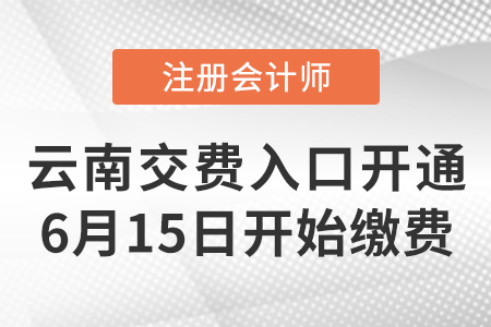 云南2022注冊會計師報名繳費6月15日開始！