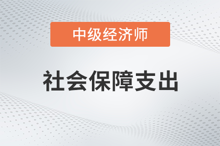 社會保障支出_2022中級經濟師財稅備考知識點