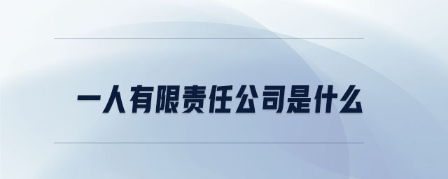 一人有限責任公司是什么