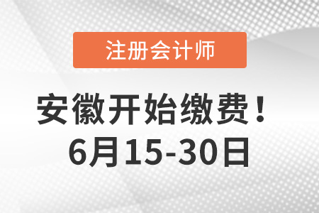 2023年安徽地區(qū)注會報(bào)名費(fèi)用是多少？點(diǎn)擊完成交費(fèi)！