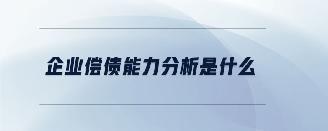 企業償債能力分析是什么