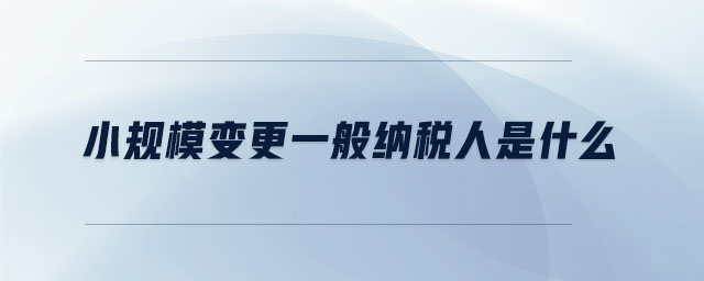 小規模變更一般納稅人是什么