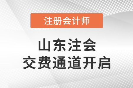 2023年山東cpa交費入口已開啟！點擊進入交費入口！