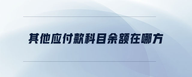 其他應付款科目余額在哪方