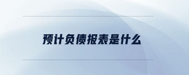 預計負債報表是什么