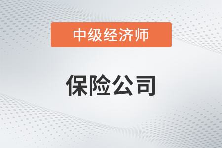 保險(xiǎn)公司_2022中級經(jīng)濟(jì)師金融備考知識點(diǎn)