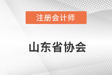 2022山東注冊會計師協會網址是什么？