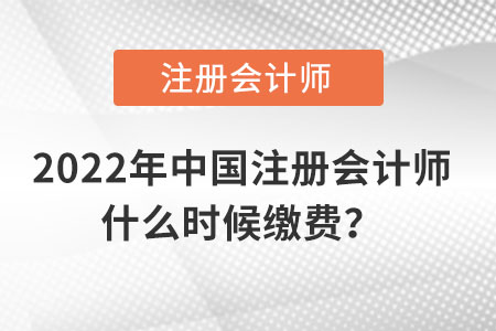 2022年中國注冊會計師