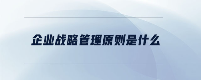企業戰略管理原則是什么