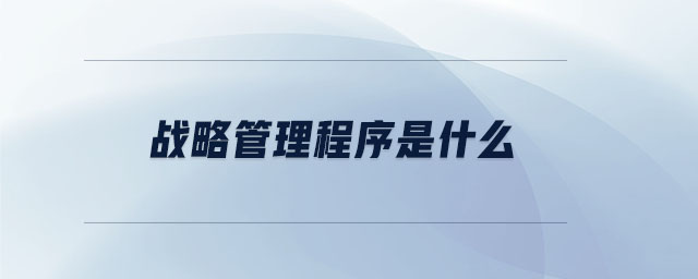 戰略管理程序是什么