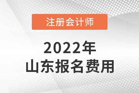 2022年山東省濰坊注冊會計師報名費用是多少？