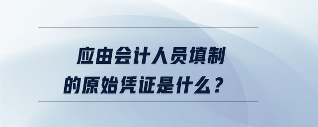 應由會計人員填制的原始憑證是什么？