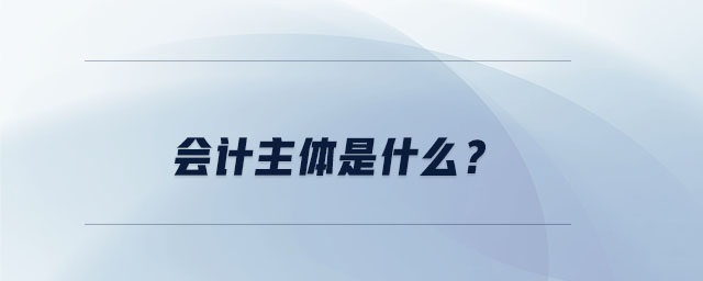 會計主體是什么