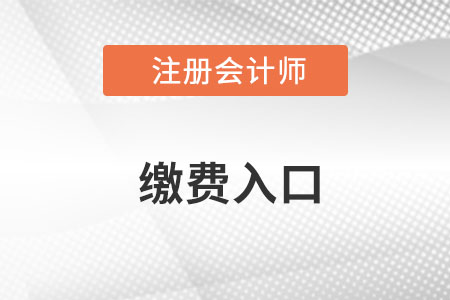 杭州2022注冊會計師繳費入口