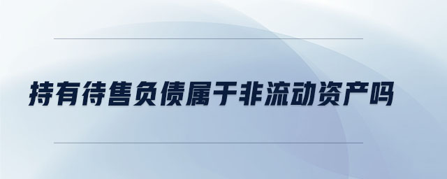 持有待售負債屬于非流動資產嗎