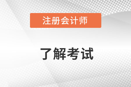 重慶注冊會計師初級會計師的區別