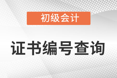 初級(jí)會(huì)計(jì)職稱(chēng)編號(hào)怎么查詢(xún)?
