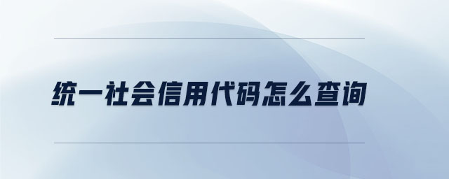 統一社會信用代碼怎么查詢