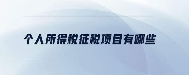 個(gè)人所得稅征稅項(xiàng)目有哪些