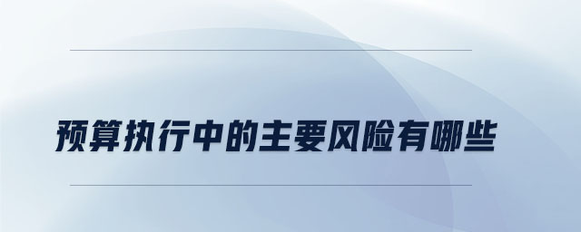 預算執行中的主要風險有哪些
