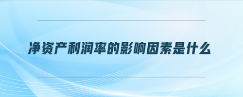 凈資產利潤率的影響因素是什么