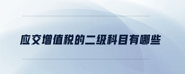 應交增值稅的二級科目有哪些