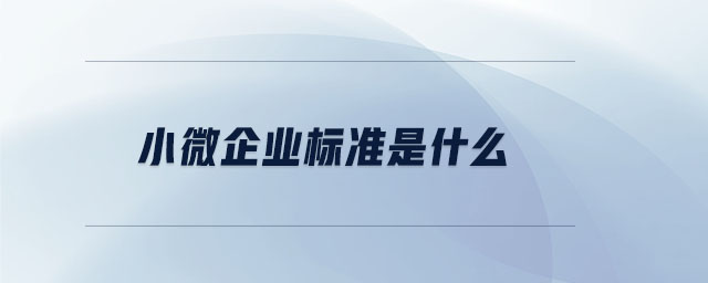 小微企業標準是什么