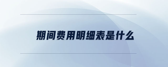 期間費用明細表是什么