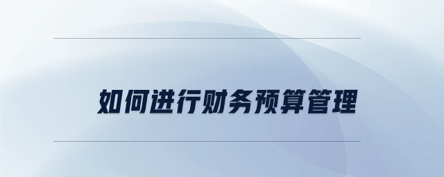 如何進(jìn)行財(cái)務(wù)預(yù)算管理