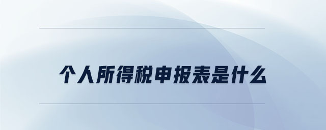 個人所得稅申報表是什么