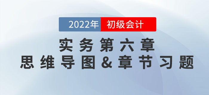 2022年《初級會計實務》第六章思維導圖+章節練習