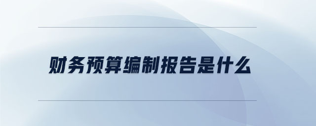 財務預算編制報告是什么