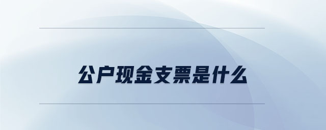 公戶現金支票是什么
