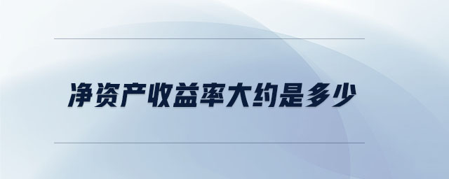 凈資產收益率大約是多少