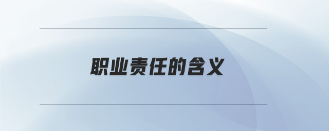 職業(yè)責任的含義