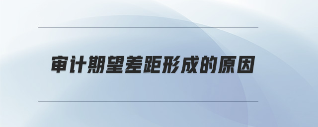 審計期望差距形成的原因