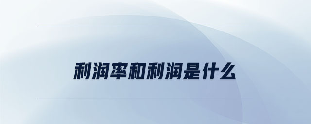 利潤率和利潤是什么