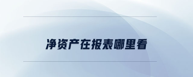 凈資產在報表哪里看