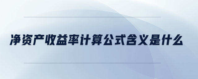 凈資產收益率計算公式含義是什么