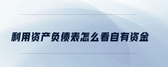 利用資產負債表怎么看自有資金