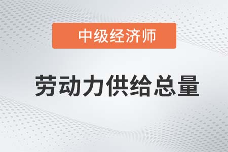 勞動力供給總量_2022中級經濟師人力資源知識點