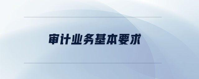 審計業務基本要求