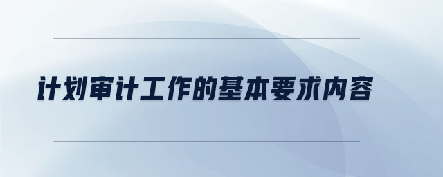 計劃審計工作的基本要求內容