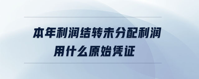 本年利潤結轉未分配利潤用什么原始憑證