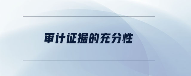 審計證據的充分性