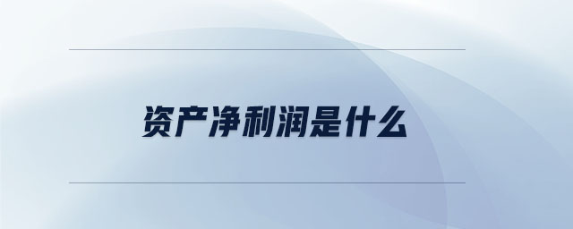 資產凈利潤是什么